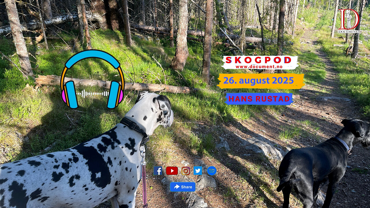 Skogpod 26. august 2025