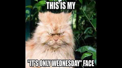 G'night fam. Tomorrow will be "No [[[Meme]]] Thusday". Enjoy a short vid tonight.