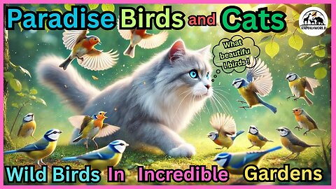 Wild birds In Incredible Gardens