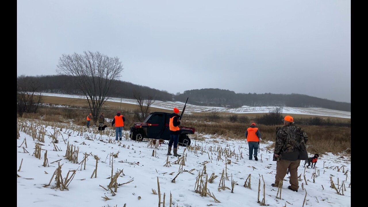 2024 Pheasant hunting for the first time! #jesus#crosstrailoutfitters
