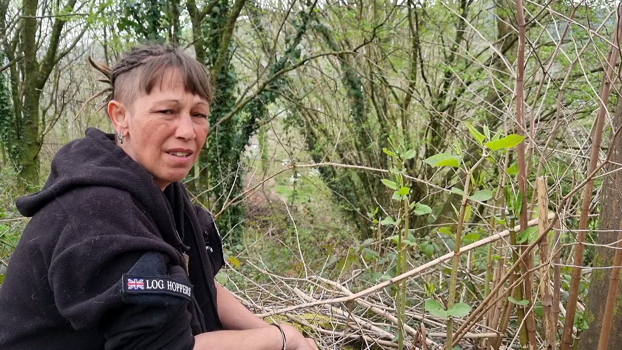 Japanese Knotweed: Too controversial for youtube