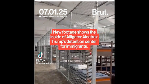 Alligator 🐊 Alcatraz Pt 1 of 2 🚨🗞️