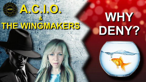 A.C.I.O. & the Wingmakers - Cicada 3301 - Q&A - Why Files Response