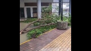 El huracán Melissa provoca destrozos en Cuba