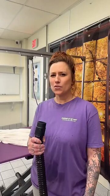 Just another day at the beauty parlor. 🐕