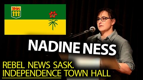 What's the best way for a Saskatchewan referendum? Nadine Ness explains
