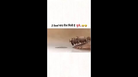 viral comedy video | viral comedy videos