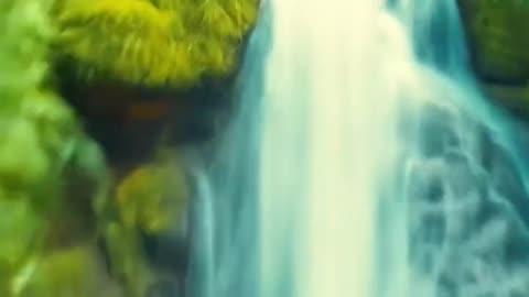 Beautiful video