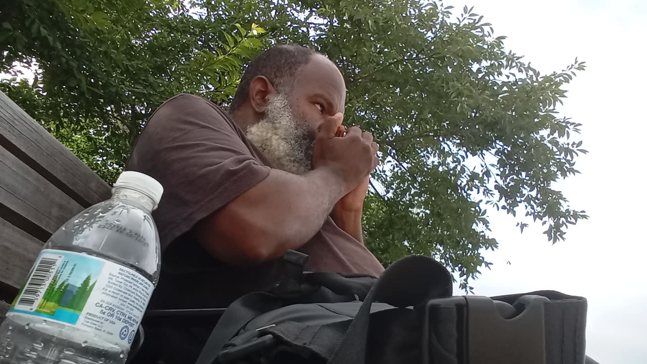 Me butchering various tunes with my Marine Band harmonica