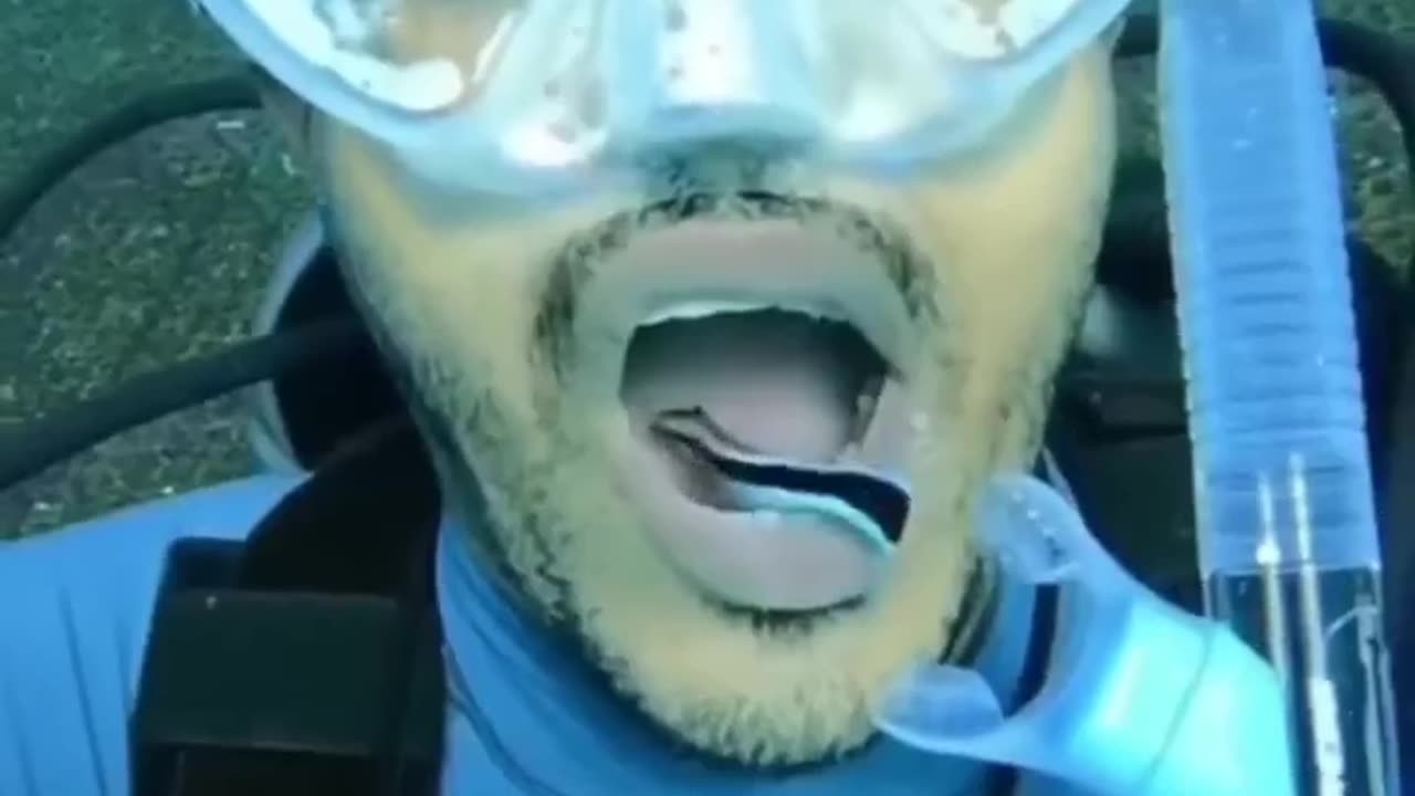 #trending #viralvideo #viralshorts #tiktok #trending #viralshorts, #viral shorts, #viral short,