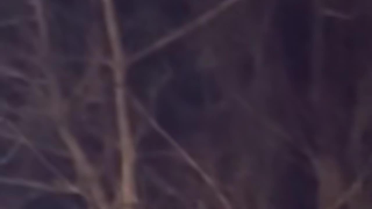 🛸👀 UFO/Drone Sighting in Clinton, Massachusetts! | TheTruthAbove