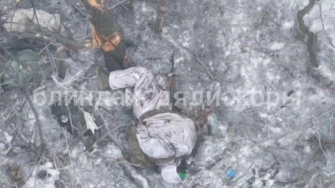 Russian-Ukrainian War