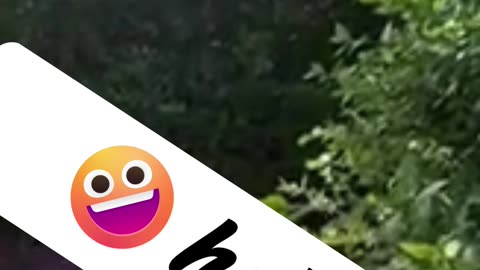 #☺️scares,very fun reactions(79😃)#