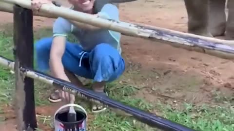😂🐘 Playful Baby Elephant Pokes Guy with Trunk! | FunFM