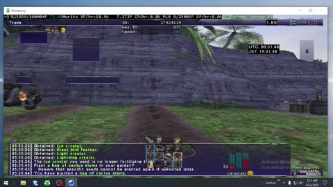 Playing Final Fantasy XI Online