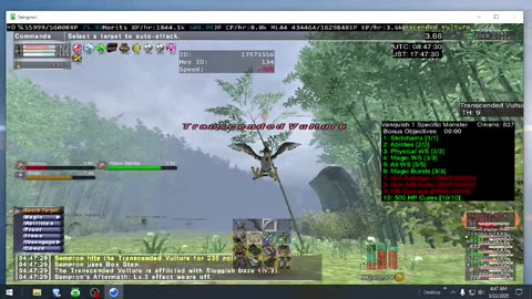 Playing Final Fantasy XI Online