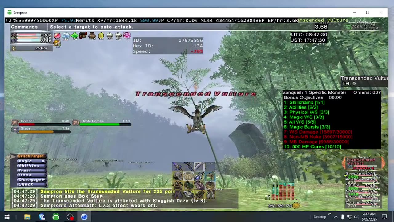 Playing Final Fantasy XI Online