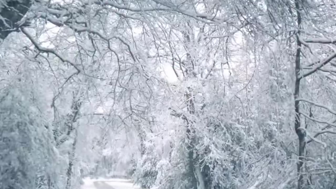 Iran vs Israel best fighting every day by day most fropational fight