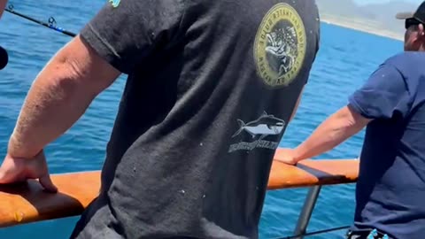 Best Saltwater Fishing Gear from Okuma Fishing USA! #731