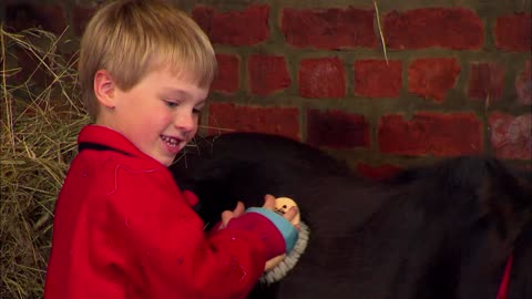 Mi Mascota y Yo - T01E07 - Poni de las Shetland