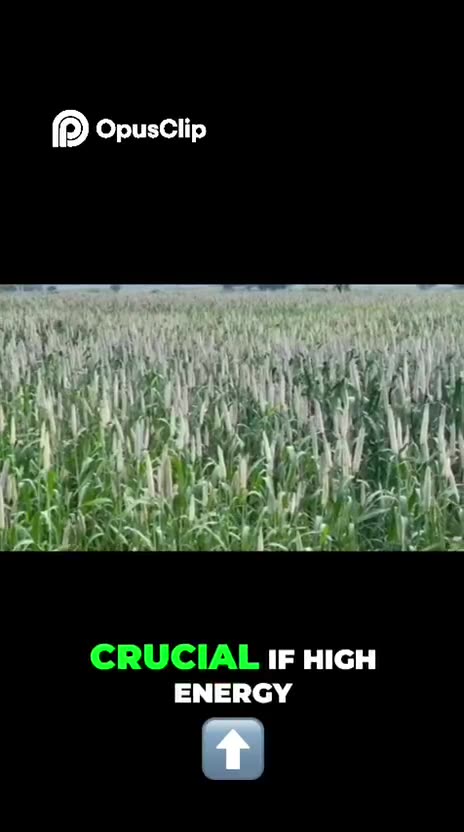 Why you need to act against Middle East war with EuroEximBank letter of credit