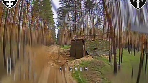 🎯💣 Ukraine Russia War | SIGNUM Battalion Destroys Russian Tank with FPV Drone | RCF