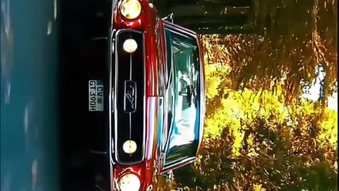 Luxury Cars