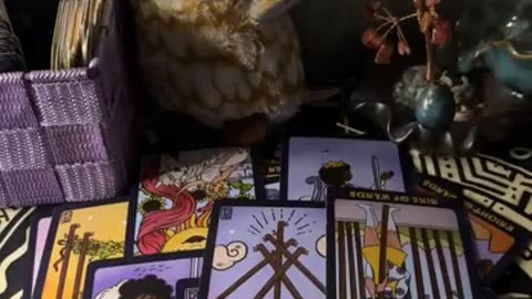 Aquarius Gemini Season Messages
