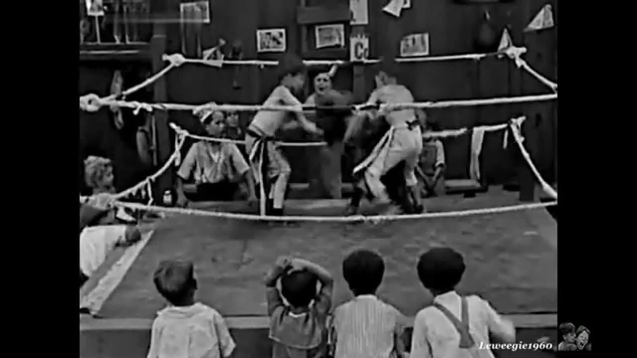 y2mate.com - 7 Our Gang The Champeen 1923_360p