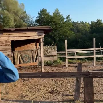 Horse Stables Hit By Russian Drone, Killing Several