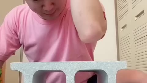 funny videos