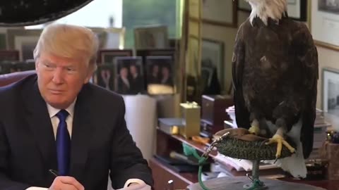 Happy Birthday to the man who put his life on the line to save America. Happy Birthday Trump ❤️