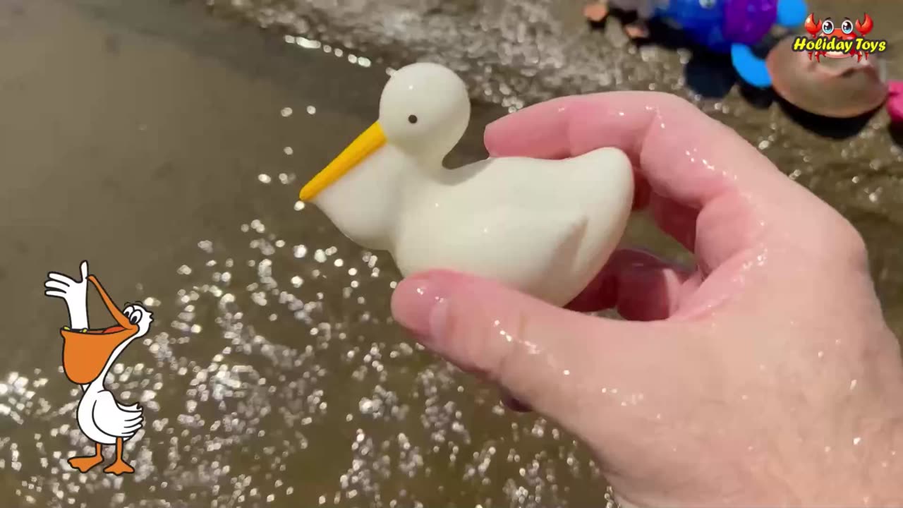 Horseshoe Crabs Crawl Along the Riverbed and Into the Mud