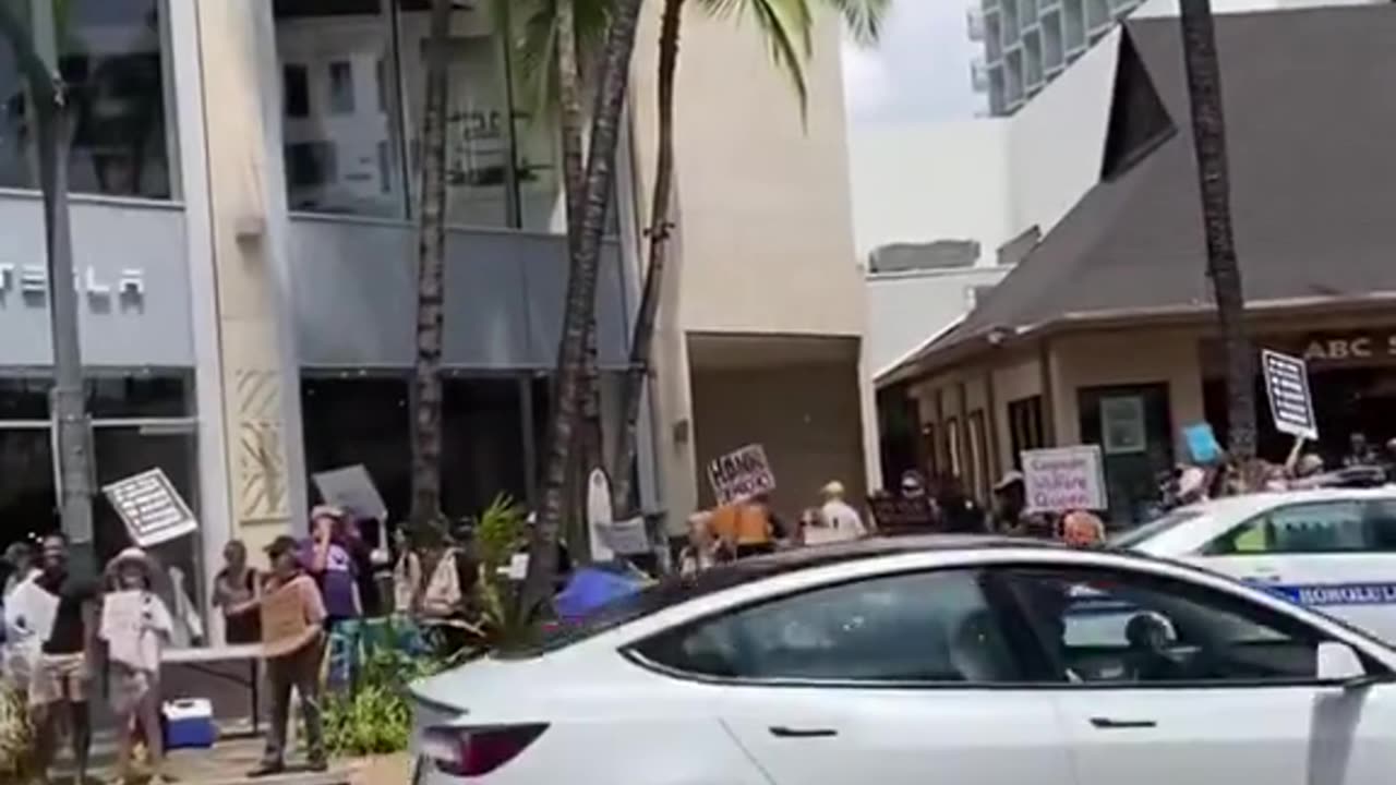 HAWAII FOR PRESIDENT TRUMP & ELON MUSK!