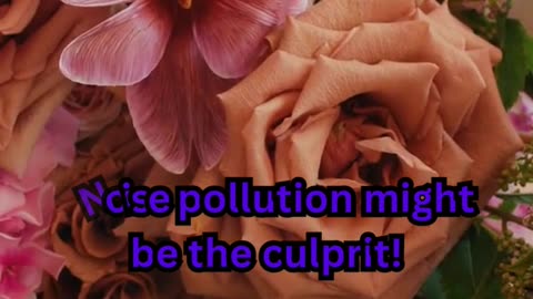 Better Sleep Tips #HotNightFix 🔥 #CoolSleep 😴 #PeacefulDreams 🌙 #NoSweat 🛏️ #ChillMode ❄️