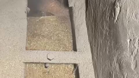 Industrial video...