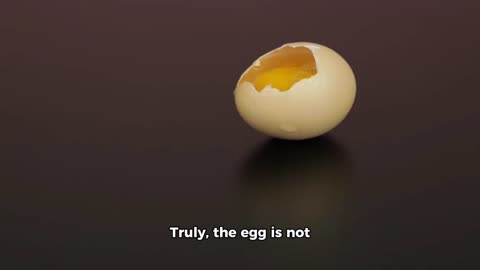 Why egg is the only superfood?