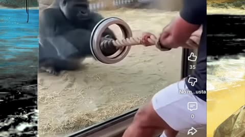 Just shorts videos 😜 #shorts #viralvideos #trending #funnyshorts #shortsfeed #memes #funny #anime