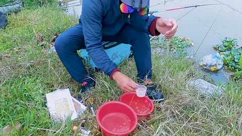 Crappie Bait Casting in Lake Brush Piles