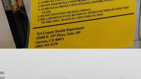 Rare Plague Death in Arizona: What You Need to Know 🦠⚠️