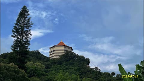 25_0719 Cocolo7 新田_大坑
