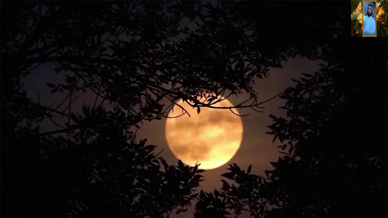 تلاوة خاشعة بالاداء الحزين للشيخ ناصر القطامي