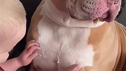 When all I got is my pet 🐕🐕