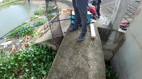 Eel Spin Fishing in River Mud Banks