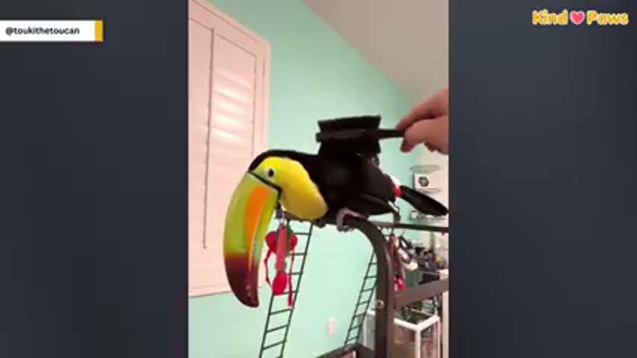 Funny