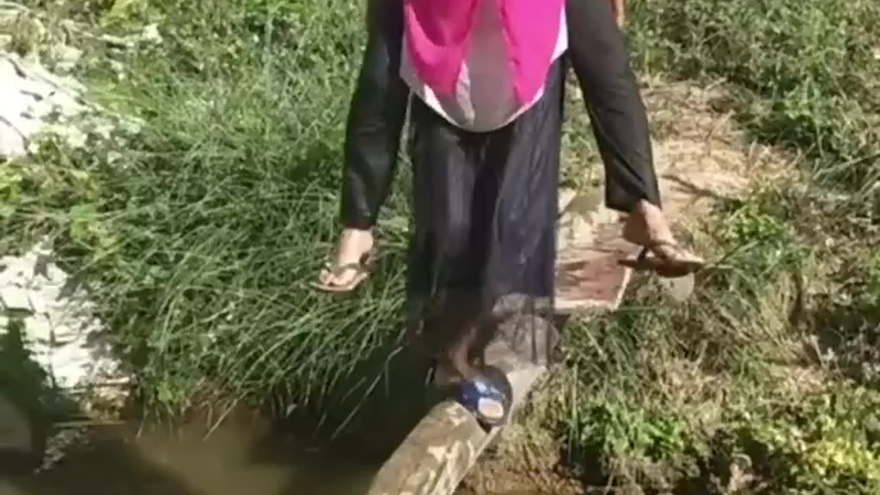 So funny 🤣🤣