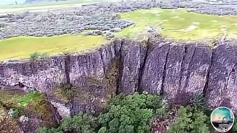 Biblical Trees And Their Remains