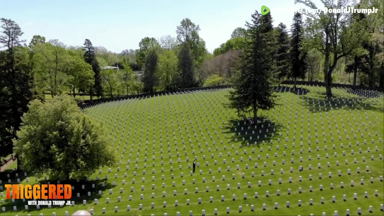 Triggered - Macron Slapped by Tariffs (and his wife), Plus Harvard gets an F...5-27-25