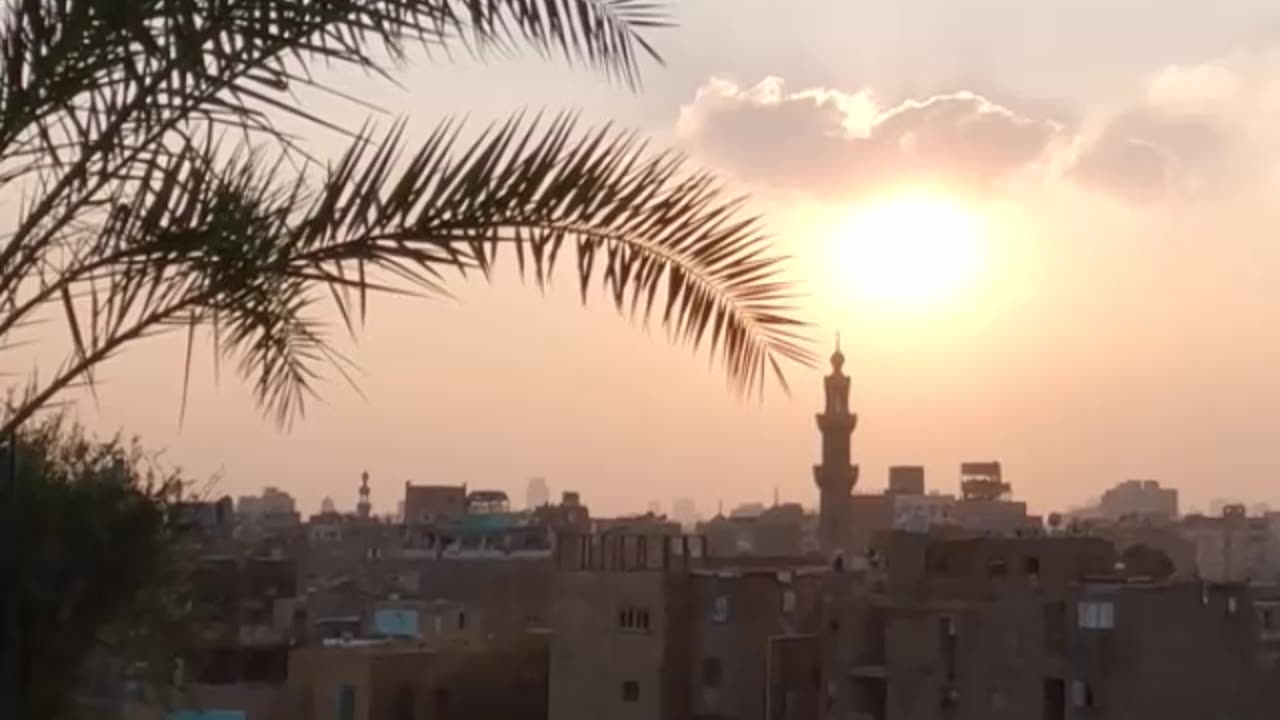 موت عالم - الشيخ صالح بن محمد السويح -حفظه الله-