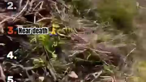 Incredible: Ranking the scariest POV bike crashes pt3 #mtb #bike
